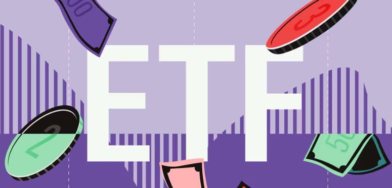 vym vanguard high dividend yield