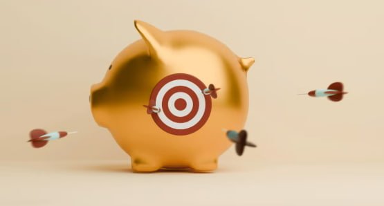 dynamic portfolio wealth journey