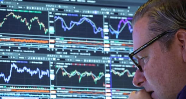 international equity portfolio growth